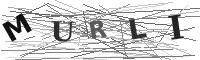 Please refresh your browser to see this image.